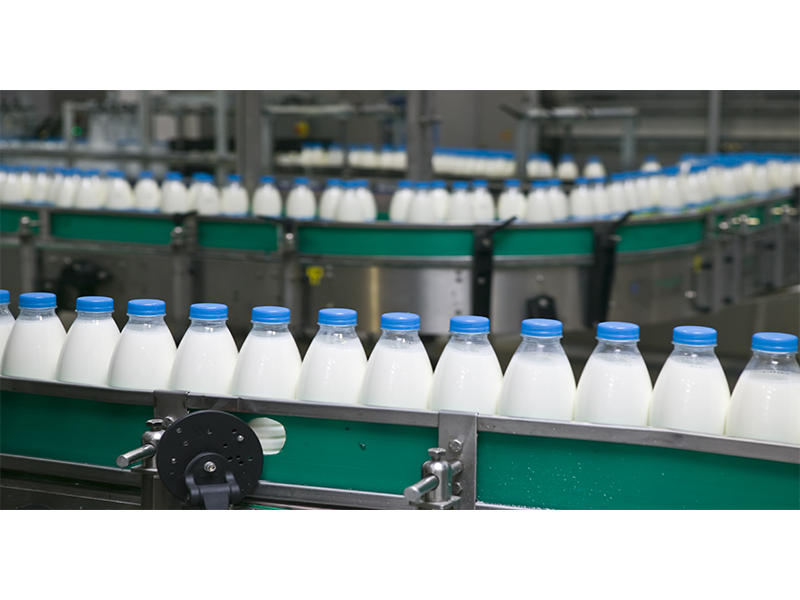 dairies-shutterstock-800x600