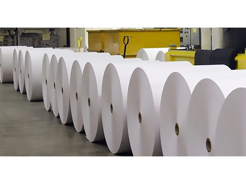 paper-mills-800x600